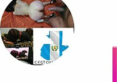 ever wonder how a big-ass Latina takes that sex chair anal and vaginal pounding?