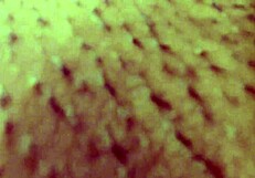 sharing this bed with stepmom turns into wild pov fucking her tight wet pussy