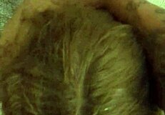 Cheating Snapchat Wife Bred Hard by Friend in Full 4K Movie