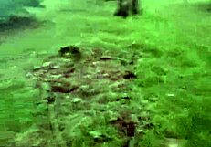 lexa bends over in park for wolfdaddy901's bareback anal creampie pounding