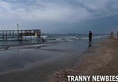 i've always wondered about tasting that shemale cock... what do you think?