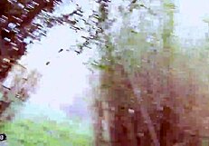 angela kiss wanna jerk it off then fuck in the reeds?