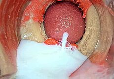 i cum on your cock camera inside my pussy