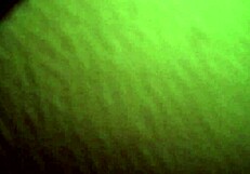 follando duro a mi novia cachonda en el motel toda la noche!