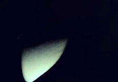 Thick Mixed Latina Ass Jiggles from Big Black Cock Backshots in Doggystyle Pounding