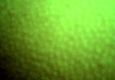 follando duro a mi novia cachonda en el motel toda la noche!