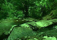 Stripping Naked Groping Myself Outdoors in Public Park