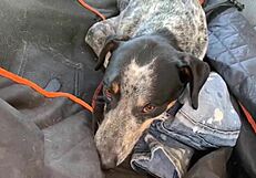 sparks and i go completely wild fucking in outdoor mud