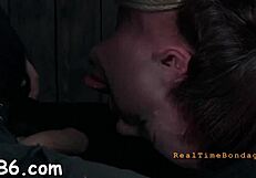 wanna lick balls suck cock get fucked hardcore you slut?