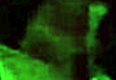 Stepsister Gives Amazing Home Blowjob On Big Cock