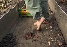 Squashing Juicy Tomatoes Barefoot in Country Dirt Ranch