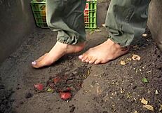 Squashing Juicy Tomatoes Barefoot in Country Dirt Ranch