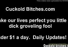 WATCH STRANGER CREAMPIE YOUR WIFE!