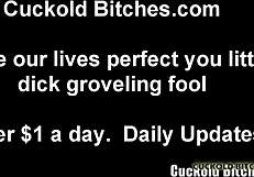 WATCH STRANGER CREAMPIE YOUR WIFE!