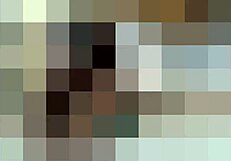 Feel the Urge to Worship My Feet