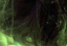 Femdom Strapon Domination Deepthroat Cock Sucking Assault.