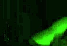 i can't stop stroking my hard cock, 23yo guy jerking off solo