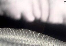 Big daddy Chevy Impala deepthroats monster black cock then rides rough