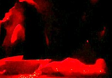 whoa renatinha mello gets wild with stranger's big tits in swing cabin part 2