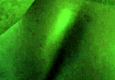 Big Booty Ebony Bent Over Doggystyle Monster Cock Creampie Fuck