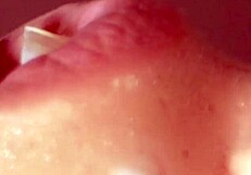Fucking my friend's Japanese girlfriend close up till cum in mouth