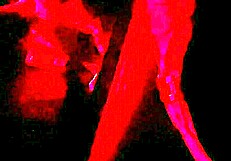 whoa renatinha mello gets wild with stranger's big tits in swing cabin part 2