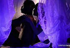 black bull bends her over for rough doggy on that big cock pussy closeup