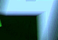 Baby Stepbrother Gets Deepthroat Blowjob Doggystyle Pussy Lick and Muff Dive Hardcore