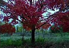 i love sharing remakes of first time we made love songs listening to old versions for free fun