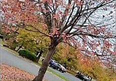 i love sharing remakes of first time we made love songs listening to old versions for free fun