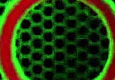 oh man tia cyrus has me shakin', makin' jenna foxx cum hard from scissoring our big clits together