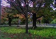 i love sharing remakes of first time we made love songs listening to old versions for free fun