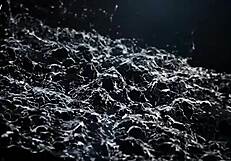 Brunette Doroty Bent Over Doggystyle Puffy Pussy Lips Pounded Hardcore Close-Up by Vipissy