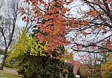 i love sharing remakes of first time we made love songs listening to old versions for free fun