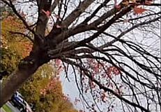 i love sharing remakes of first time we made love songs listening to old versions for free fun