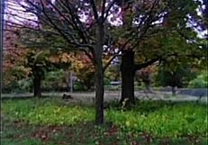 i love sharing remakes of first time we made love songs listening to old versions for free fun