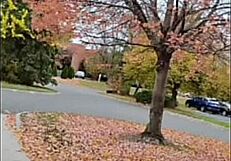 i love sharing remakes of first time we made love songs listening to old versions for free fun