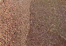 Hey, horny babe larajuicy double squirts on beach as joggers pass by! 🌊💦