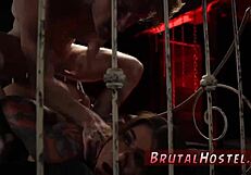 Felicity Feline Bound Tourist Hardcore Domination