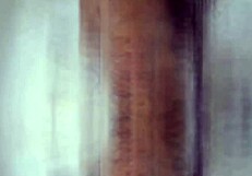 Nofacegirl Orgasms from Roommate's Ass Drilling POV