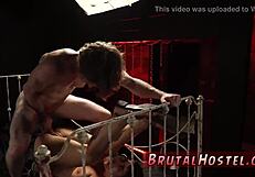 Felicity Feline Bound Tourist Hardcore Domination