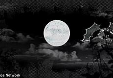 fucking tight petite college brunette ends in facial cumshot