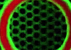 Lisa Ann Spreads Big Tits Pussy Lips For Wet Lick