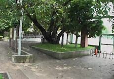 mizuki's hairy pussy creampied after pickup fuck session