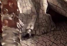 mmm trim that shaved caribbean pussy moanin hard with dildo cummin loud