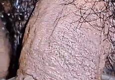 micro penis sissy roommate pisses publicly in taboo slave play