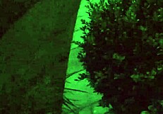 peeking at chubby neighbor flashing wet pussy in steamy shower