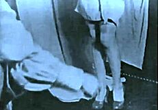 uncover hairy beavers fucking wildly in retro vintage pornostalgia