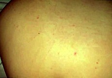 Chubby brunette stepsis bends over for thick ass doggystyle pounding