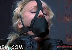 what's this bound babe gonna do in this horny bdsm cock sucking contest?